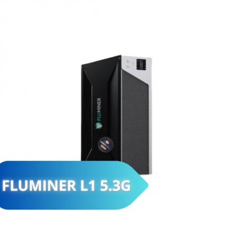 Асик майнер Fluminer L1